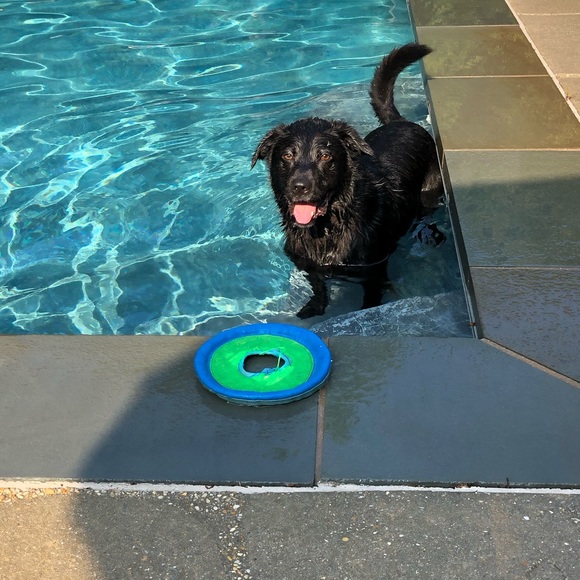 Meet your Posher, Michelle - Picture 3 of 4